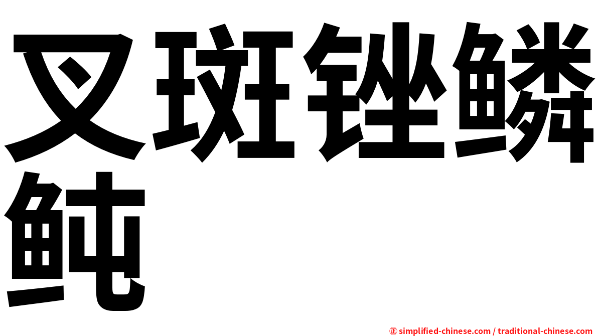 叉斑锉鳞鲀