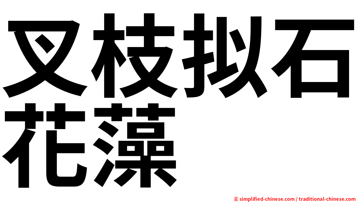 叉枝拟石花藻