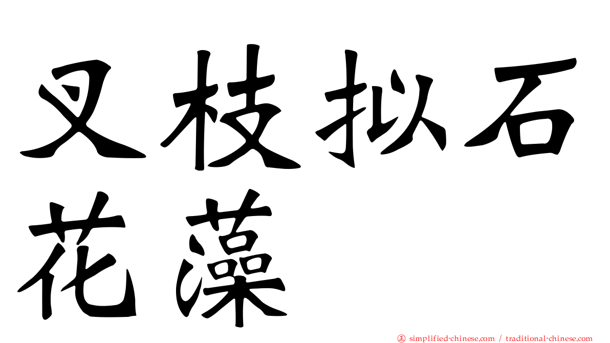 叉枝拟石花藻