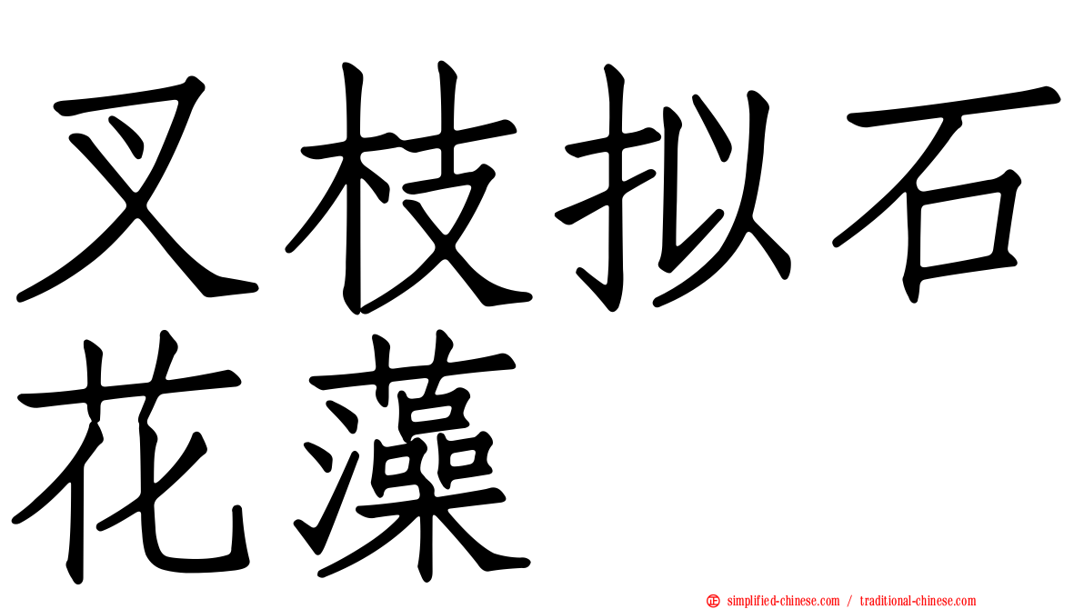 叉枝拟石花藻