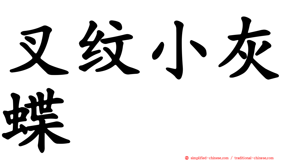 叉纹小灰蝶
