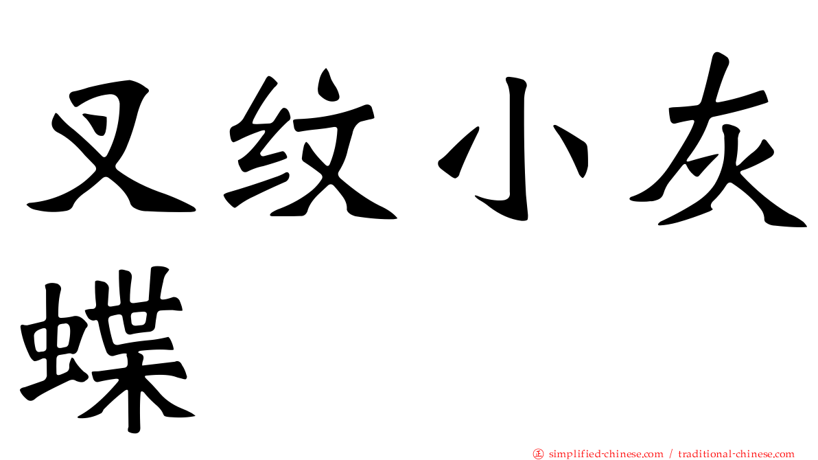 叉纹小灰蝶