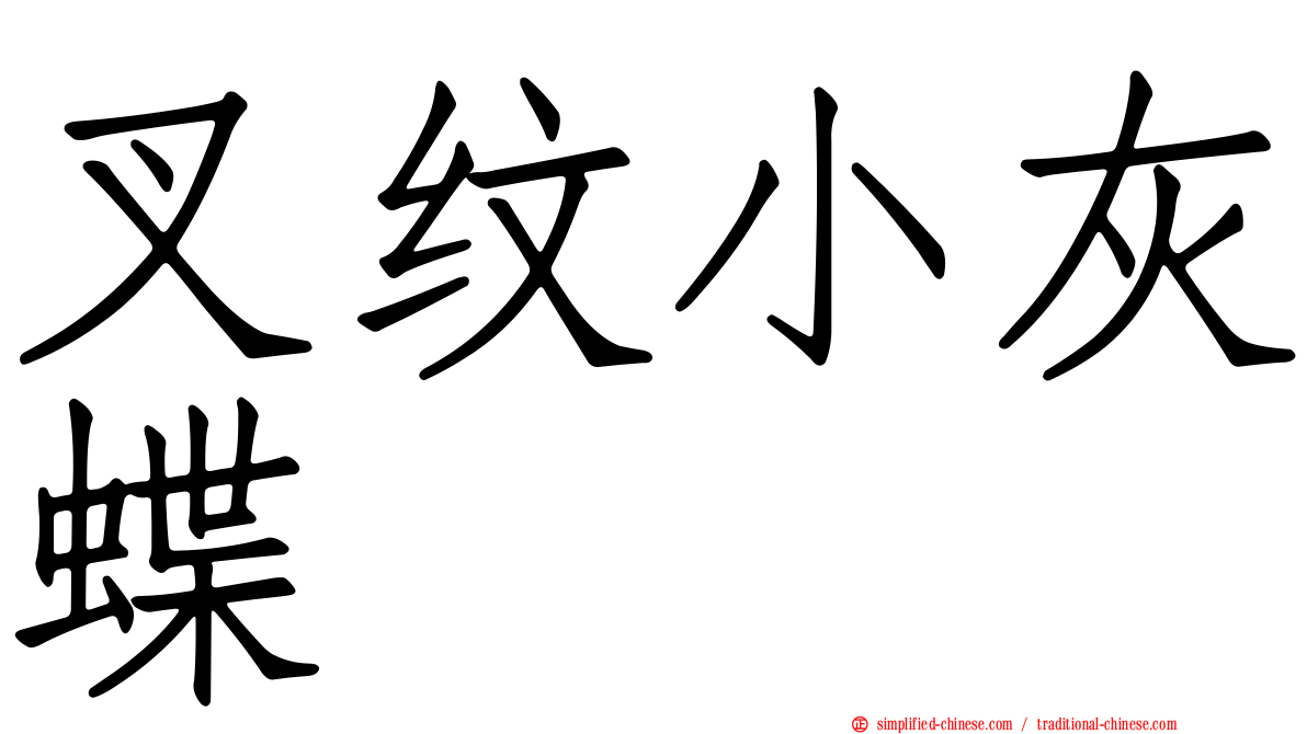 叉纹小灰蝶