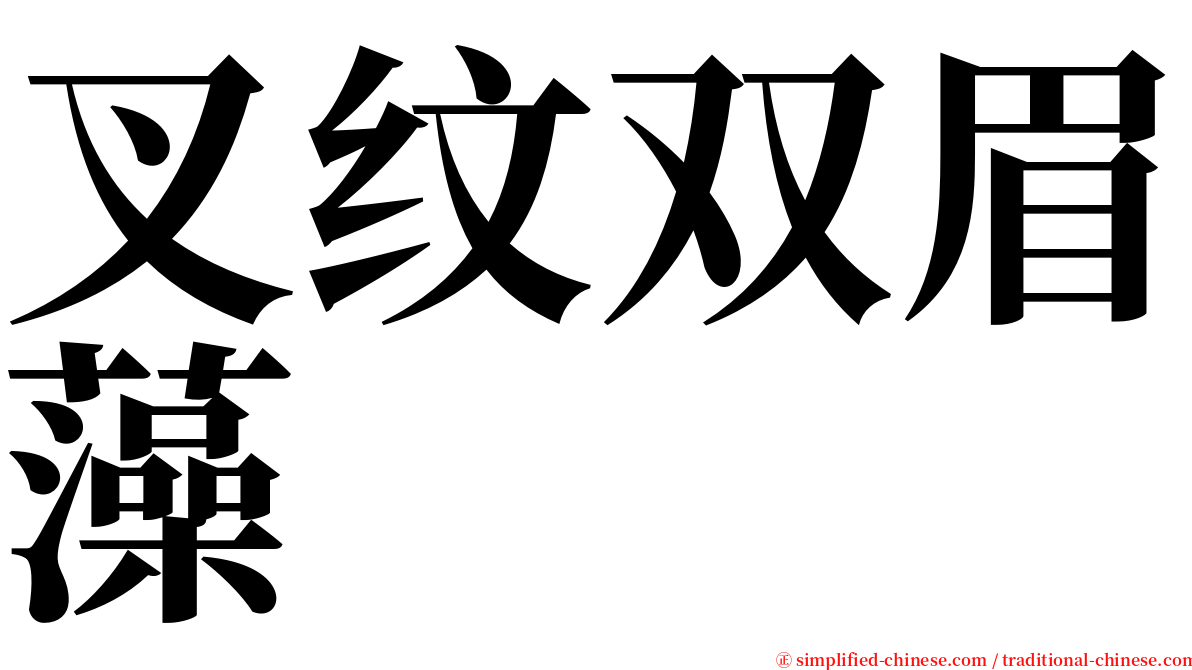叉纹双眉藻 serif font