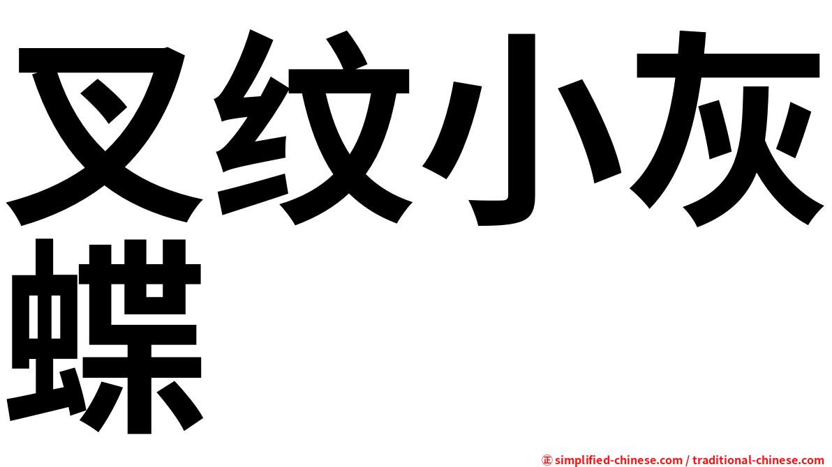 叉纹小灰蝶