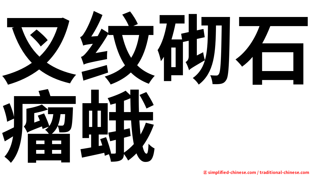 叉纹砌石瘤蛾