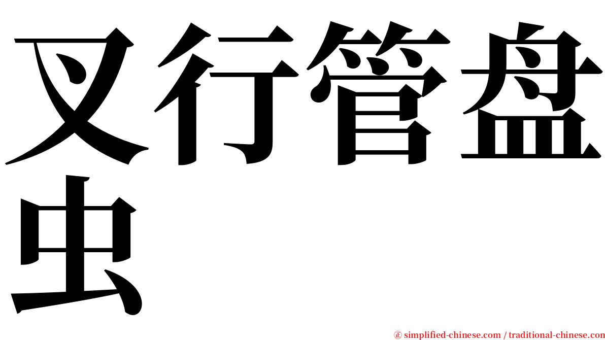 叉行管盘虫 serif font