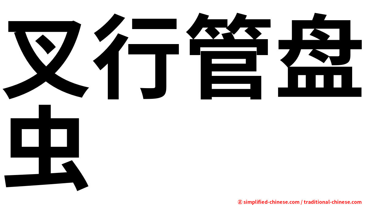 叉行管盘虫