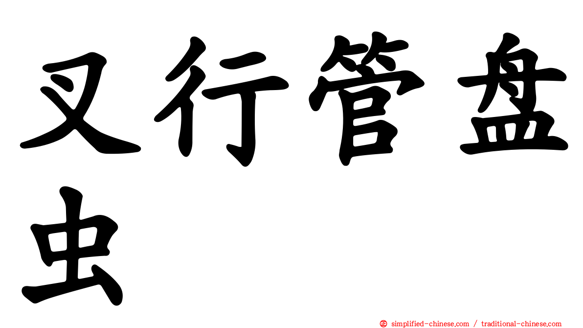 叉行管盘虫