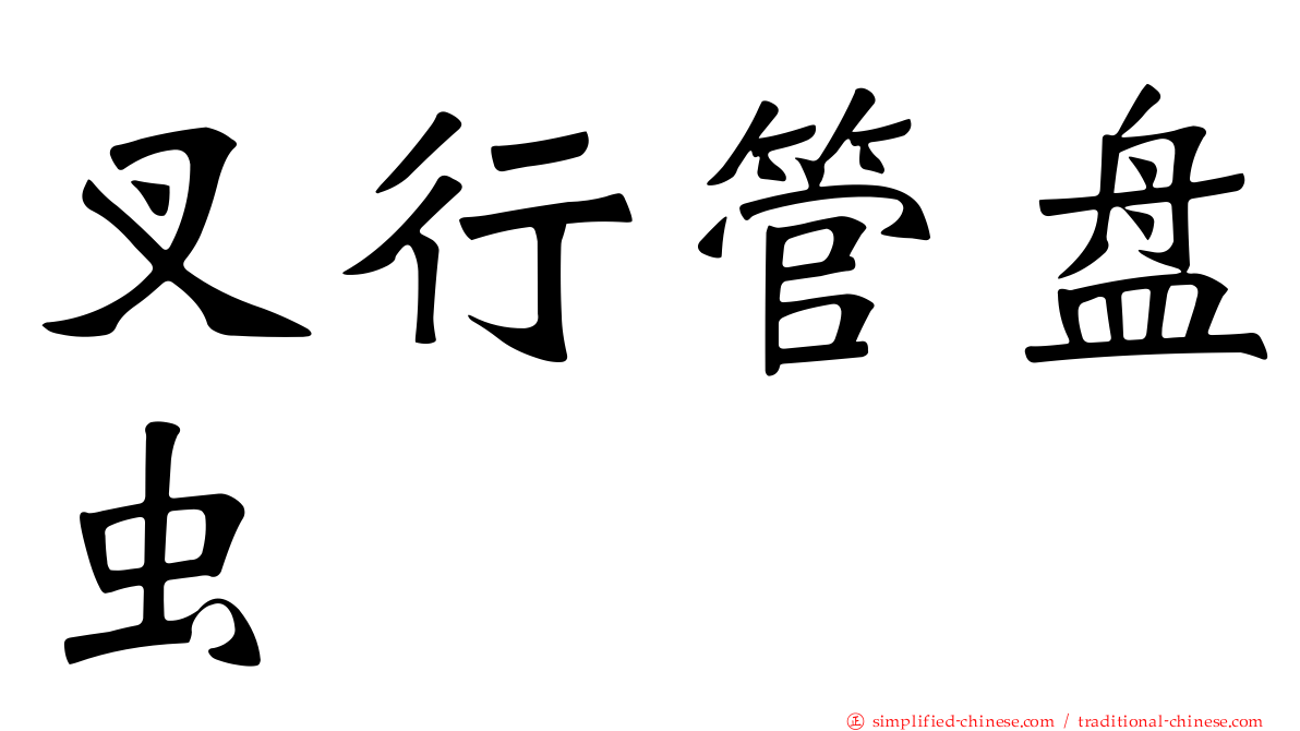 叉行管盘虫