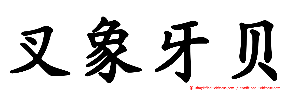 叉象牙贝