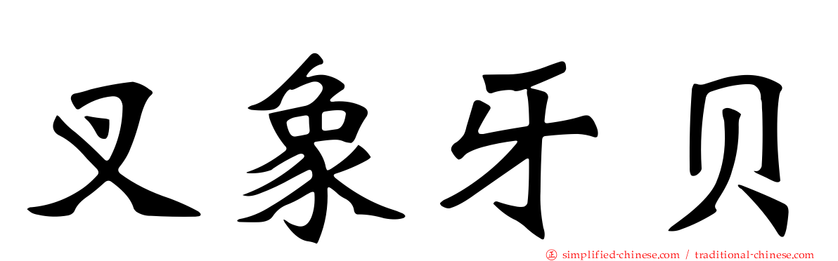 叉象牙贝