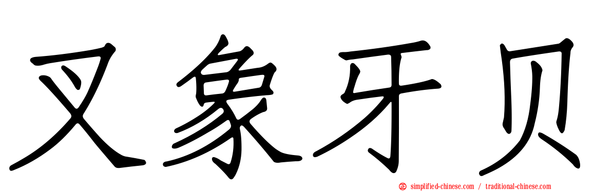叉象牙贝