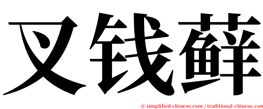 叉钱藓 serif font
