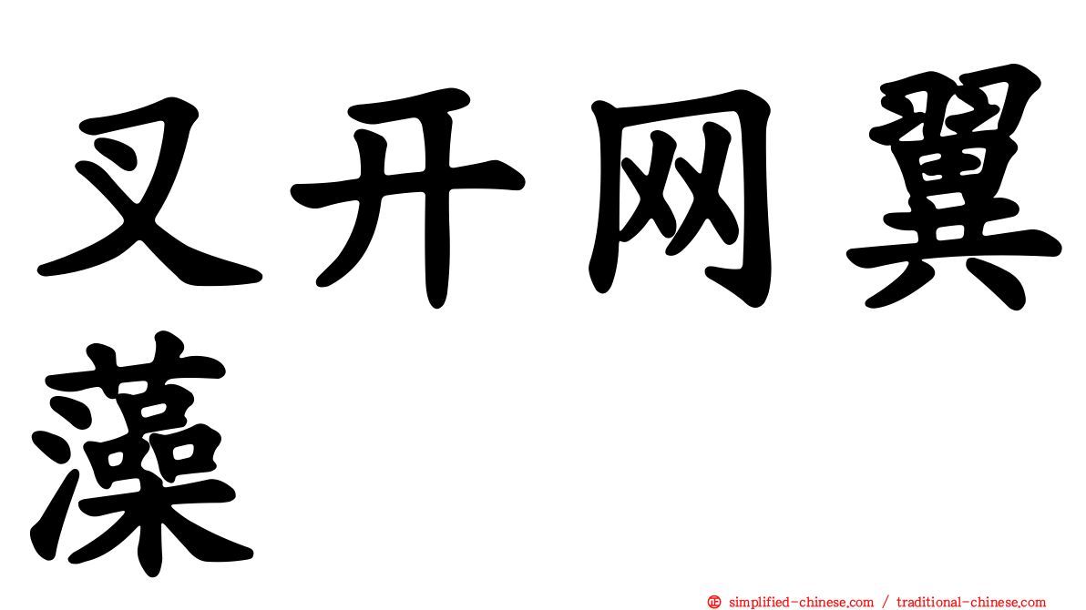 叉开网翼藻