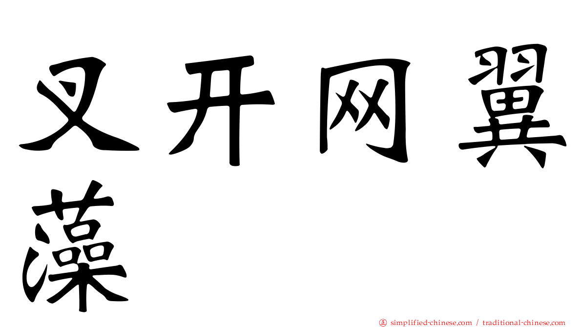 叉开网翼藻