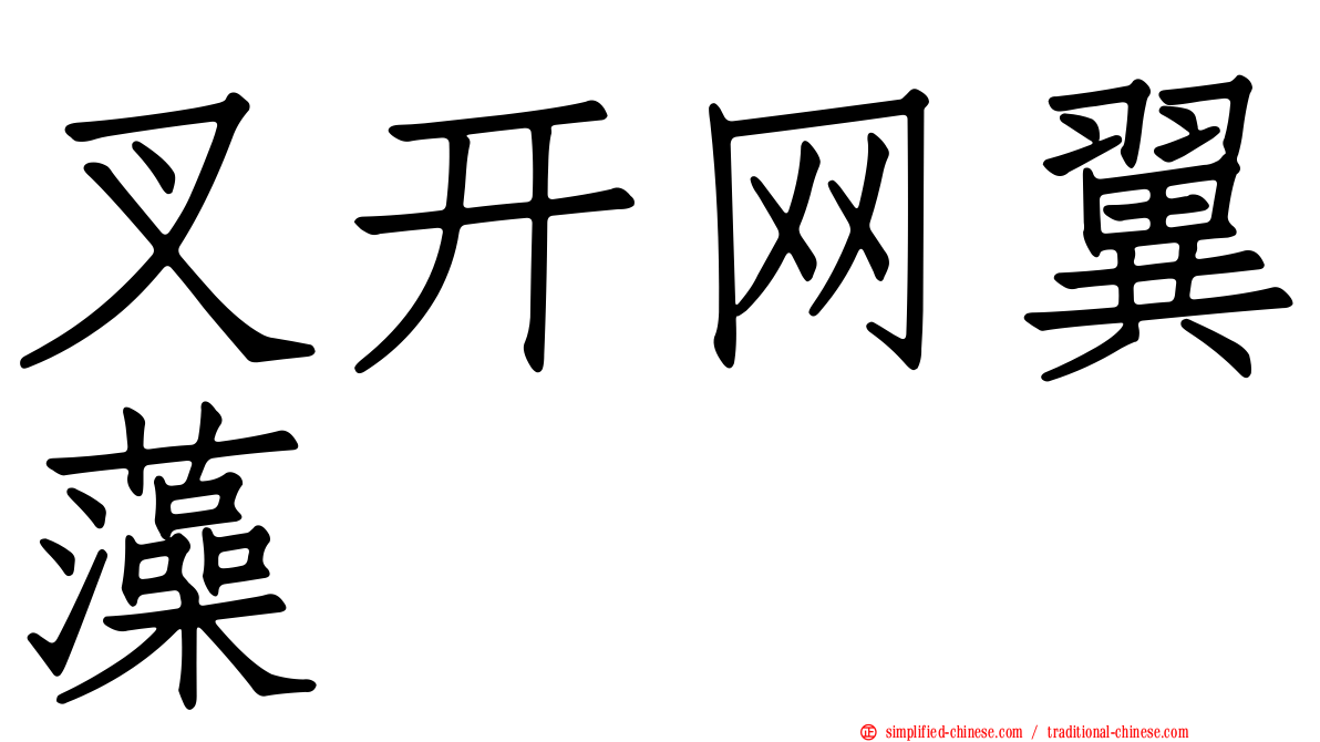 叉开网翼藻