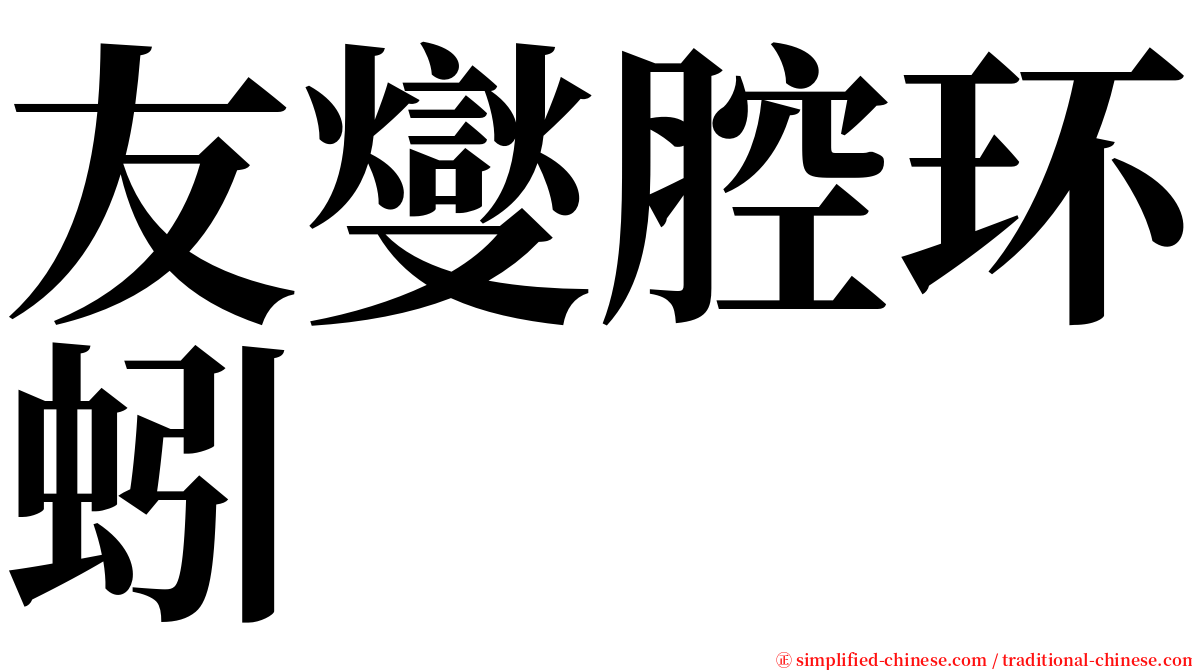 友燮腔环蚓 serif font