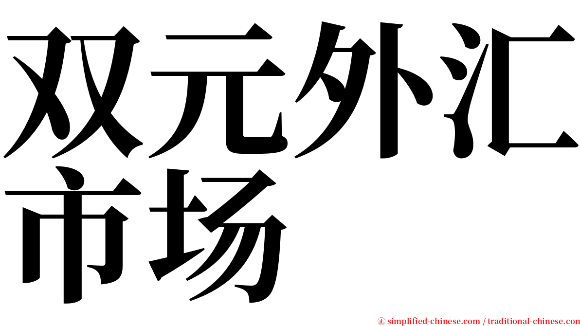 双元外汇市场 serif font