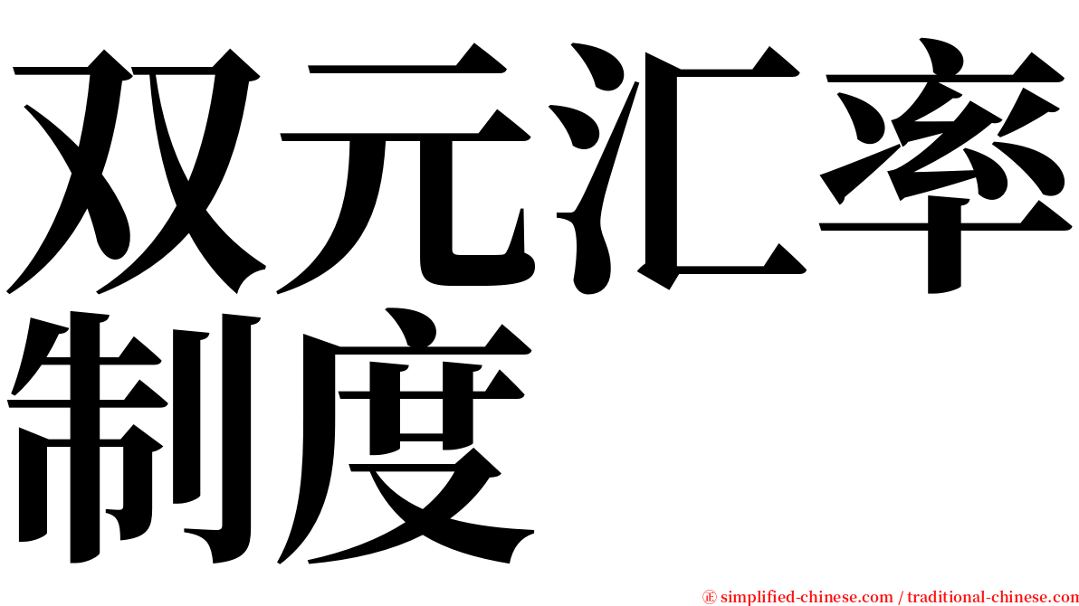 双元汇率制度 serif font