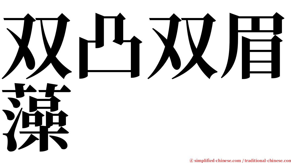 双凸双眉藻 serif font