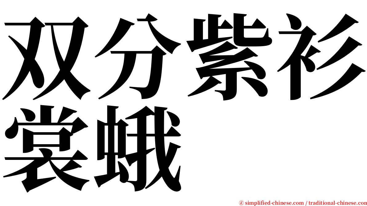 双分紫衫裳蛾 serif font
