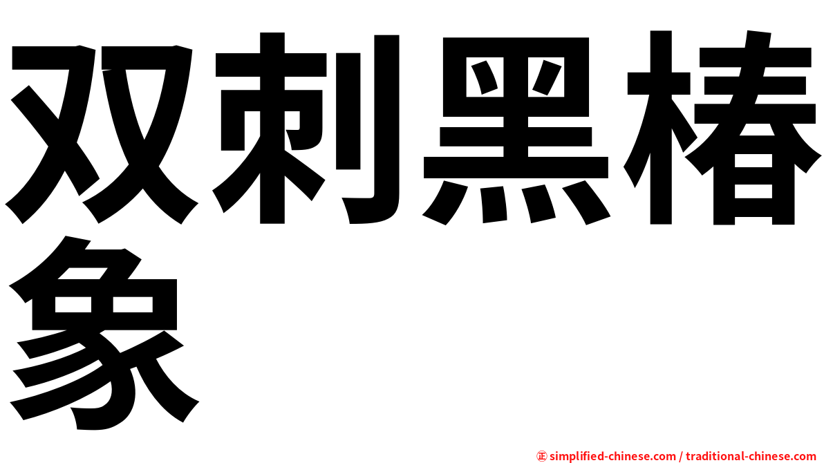 双刺黑椿象
