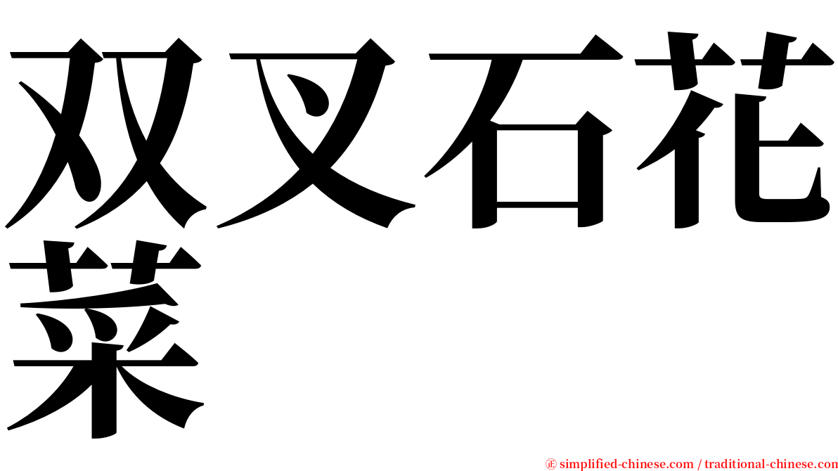 双叉石花菜 serif font