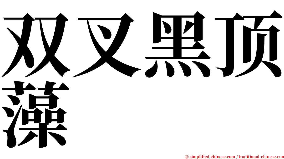 双叉黑顶藻 serif font