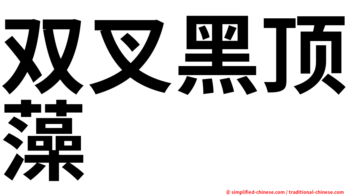 双叉黑顶藻