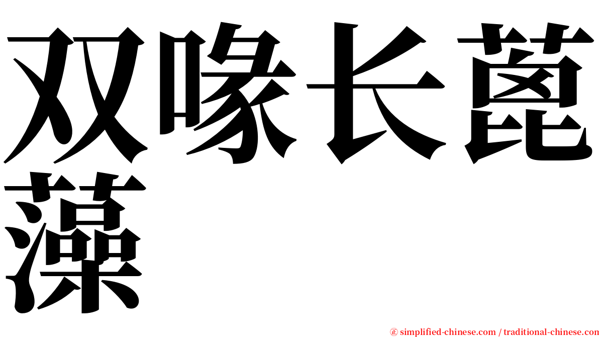 双喙长蓖藻 serif font