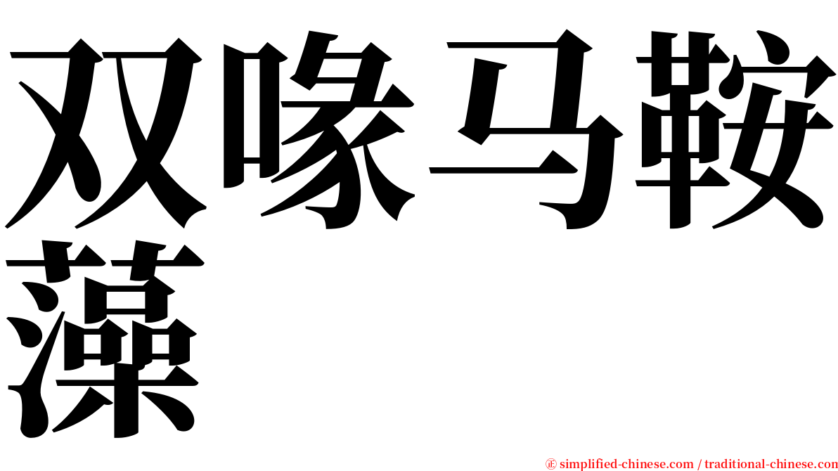 双喙马鞍藻 serif font