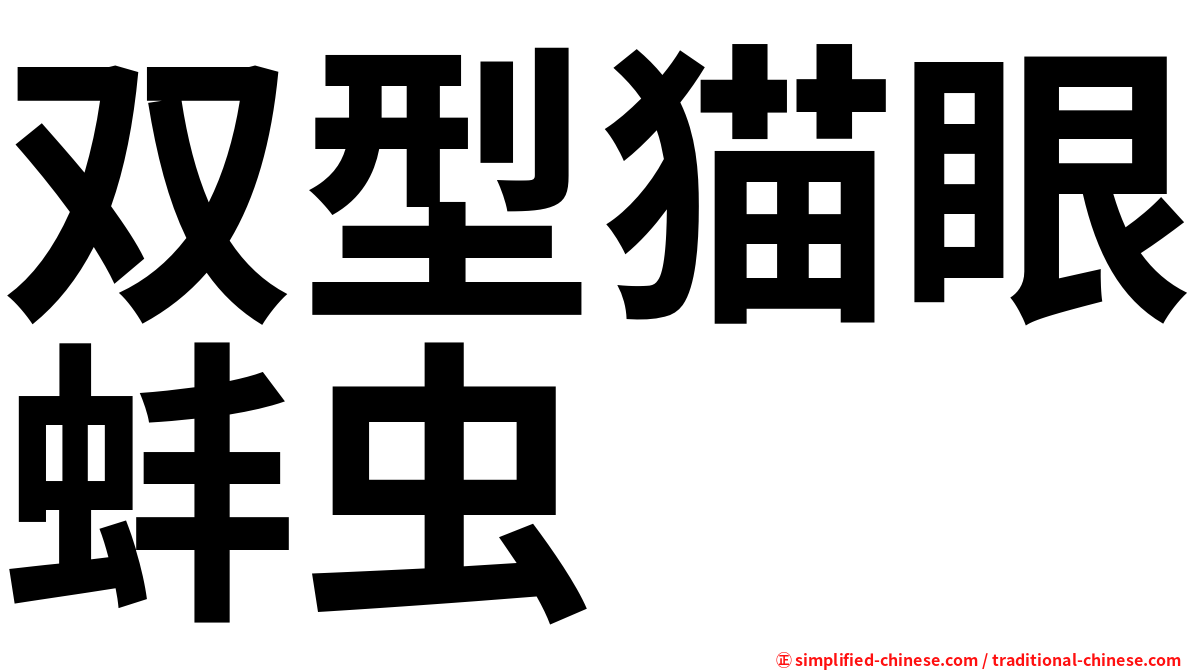 双型猫眼蚌虫