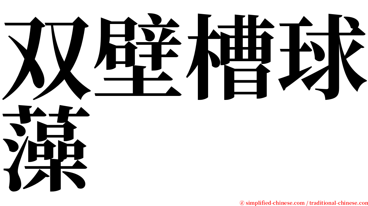 双壁槽球藻 serif font