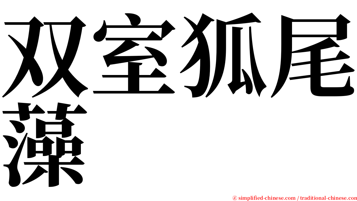 双室狐尾藻 serif font