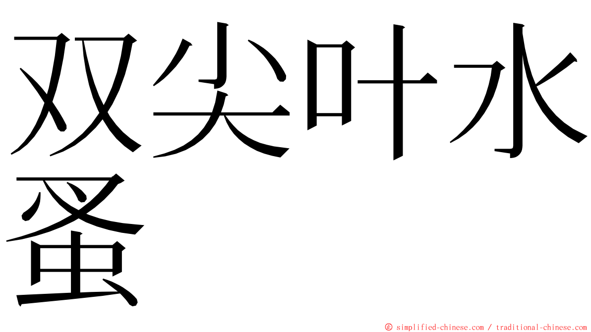 双尖叶水蚤 ming font