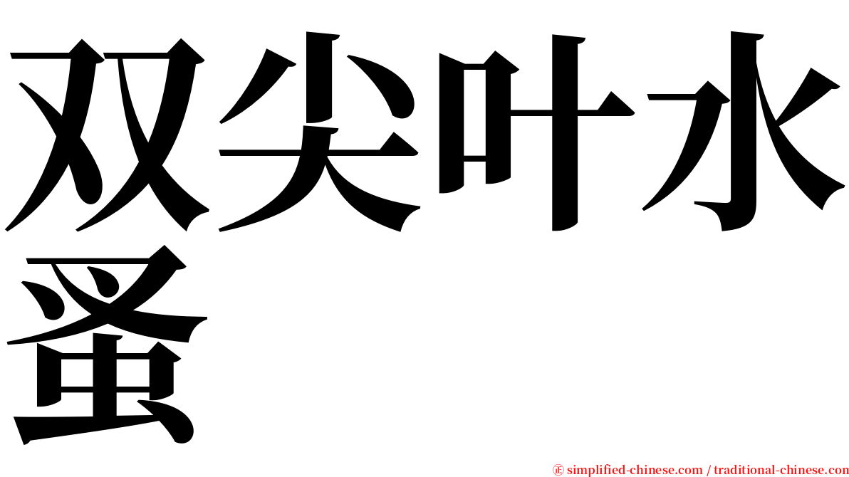 双尖叶水蚤 serif font