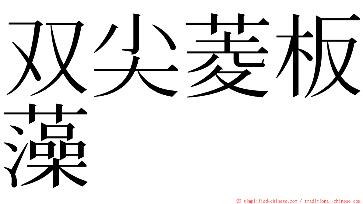 双尖菱板藻 ming font