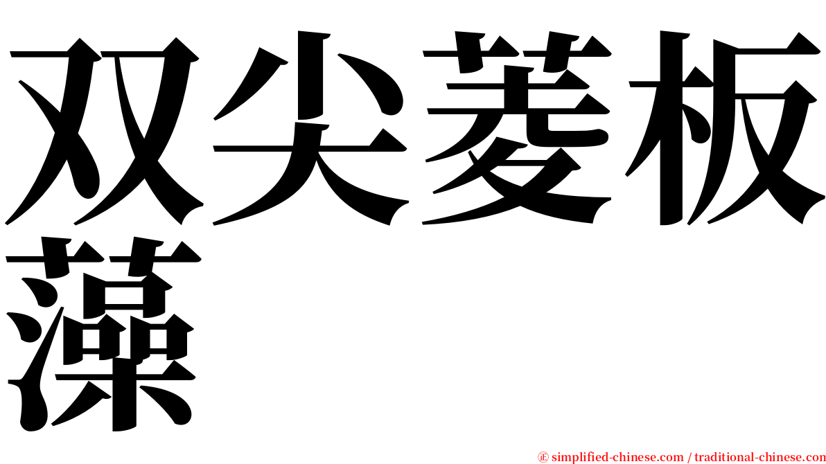 双尖菱板藻 serif font