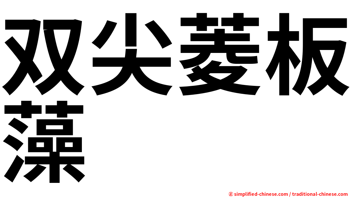 双尖菱板藻