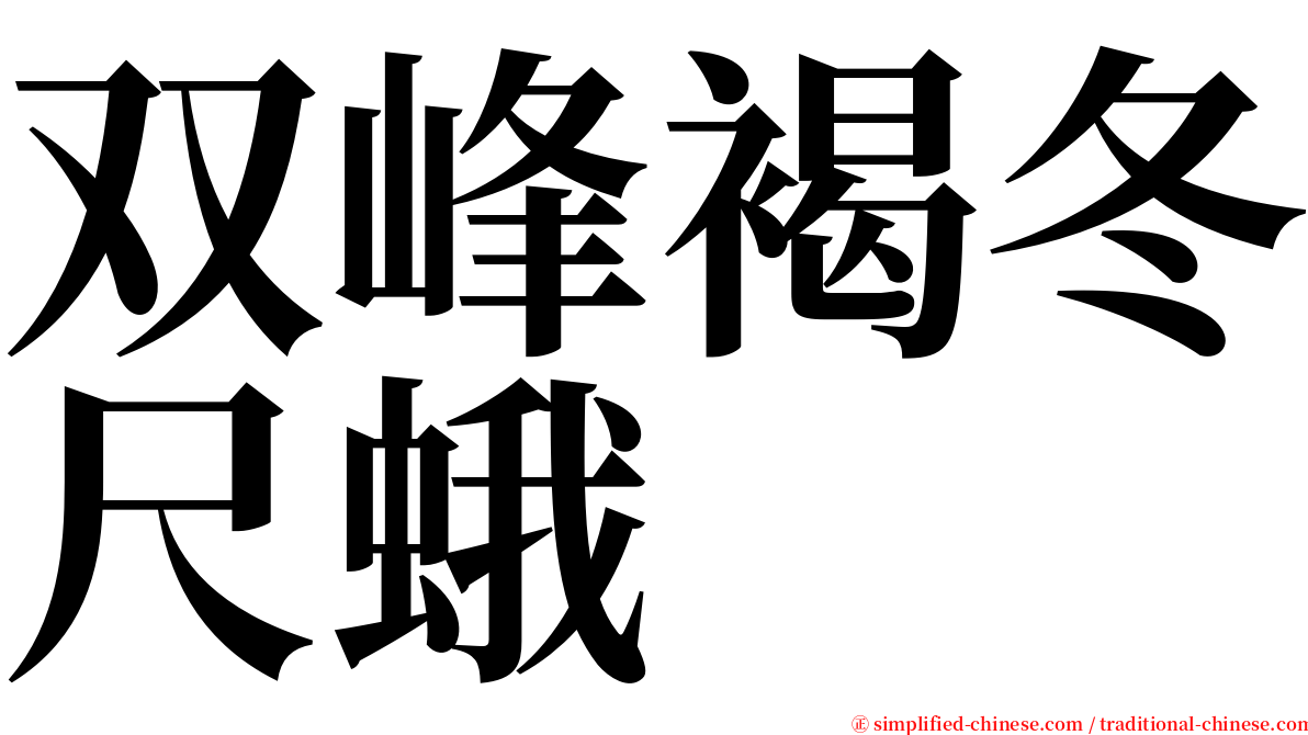 双峰褐冬尺蛾 serif font