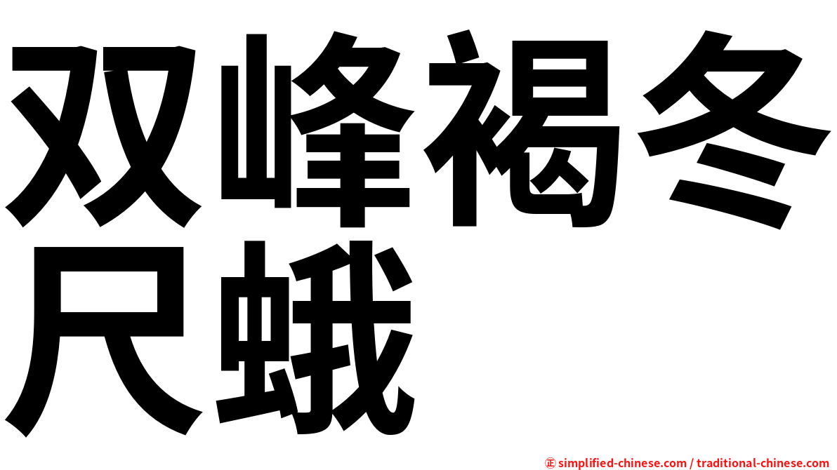 双峰褐冬尺蛾
