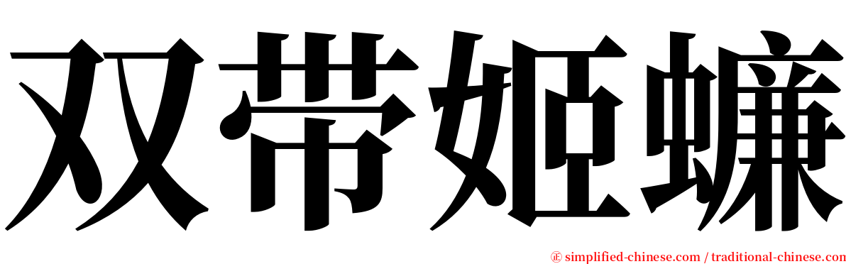 双带姬蠊 serif font