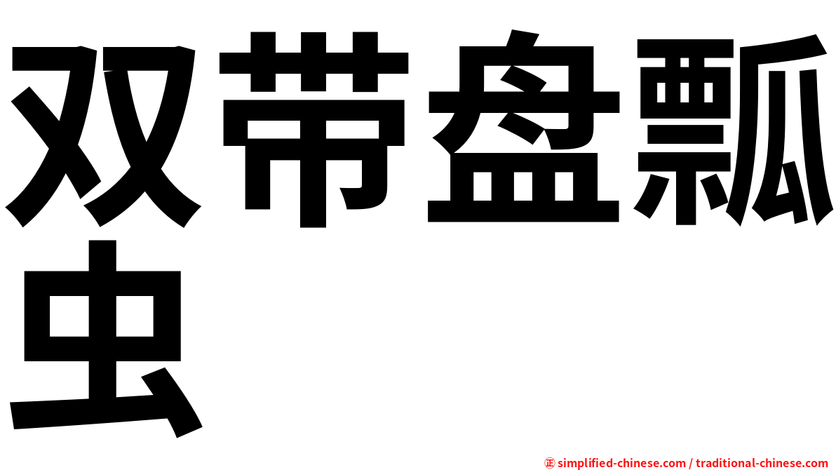 双带盘瓢虫