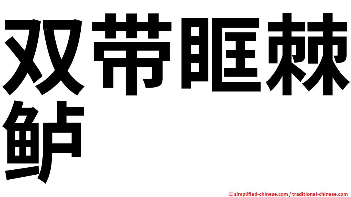 双带眶棘鲈
