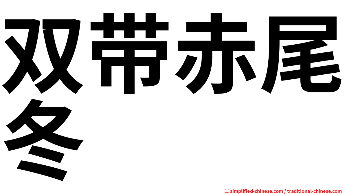 双带赤尾冬