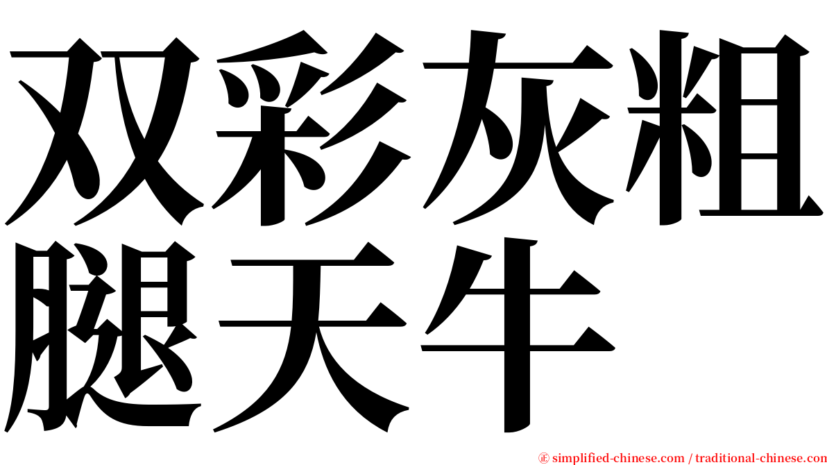 双彩灰粗腿天牛 serif font
