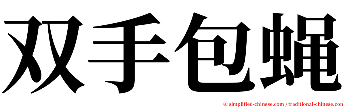 双手包蝇 serif font