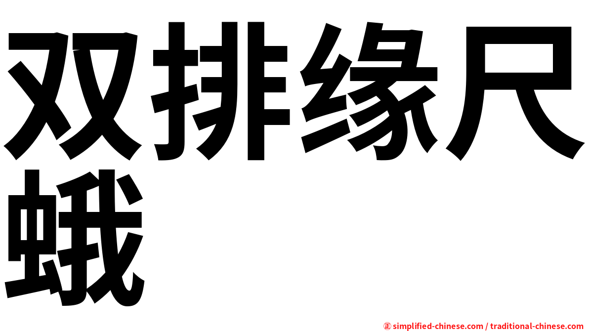 双排缘尺蛾