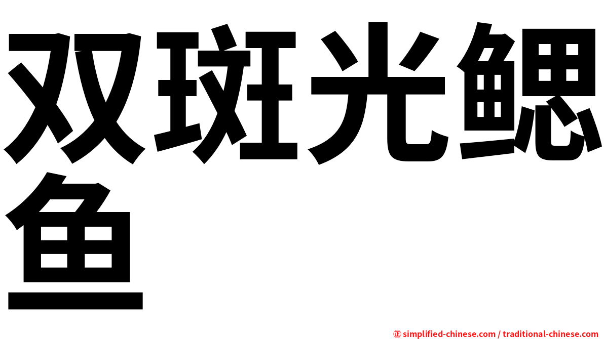 双斑光鳃鱼